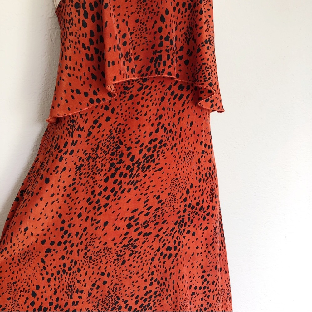 Cheetah Maxi Dress in Cinnabar Color - Picture 4 of 6